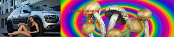 первитин Михайлов