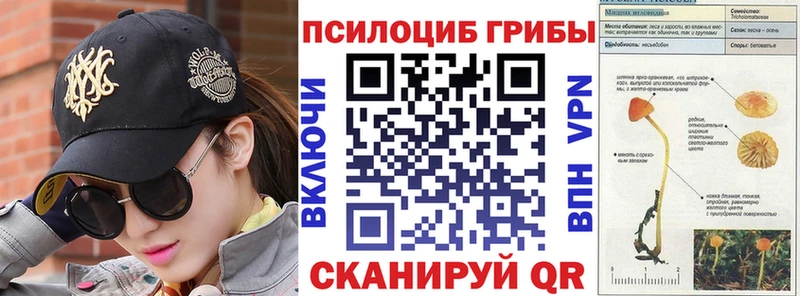 Галлюциногенные грибы Psilocybine cubensis  Отрадная 