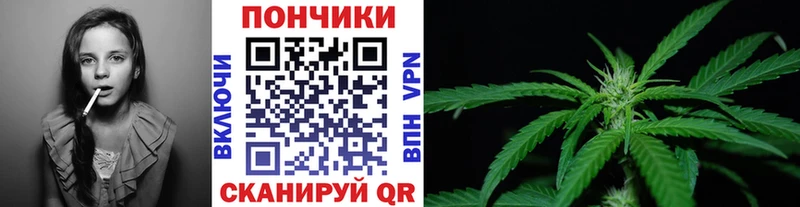 цена   Отрадная  Шишки марихуана SATIVA & INDICA 